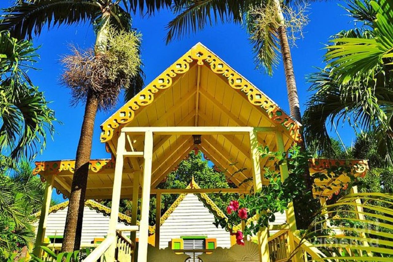 Special Best of St. Kitts/Tour panoramico di Rosevelt — 6