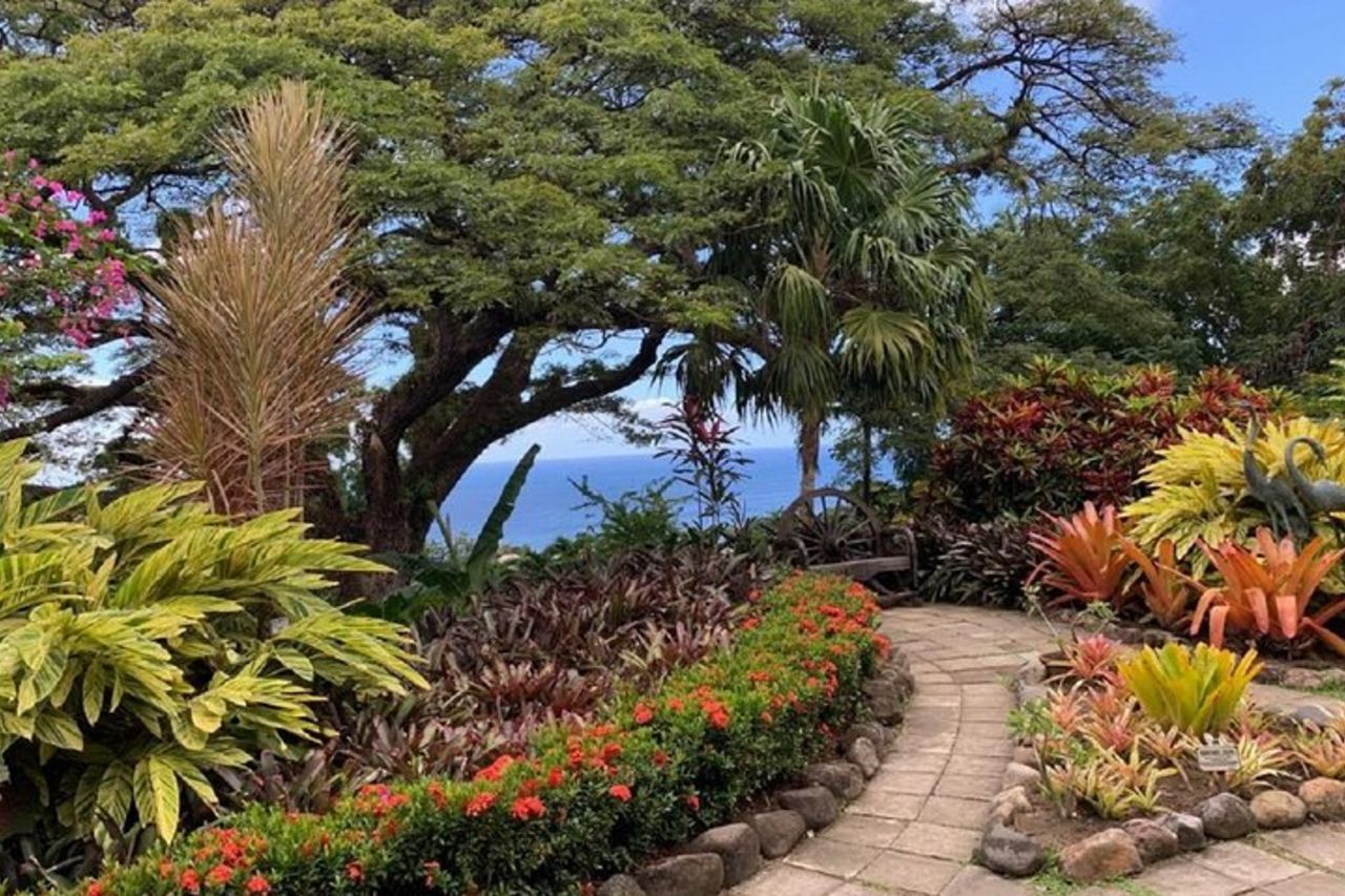 Special Best of St. Kitts/Tour panoramico di Rosevelt — 9