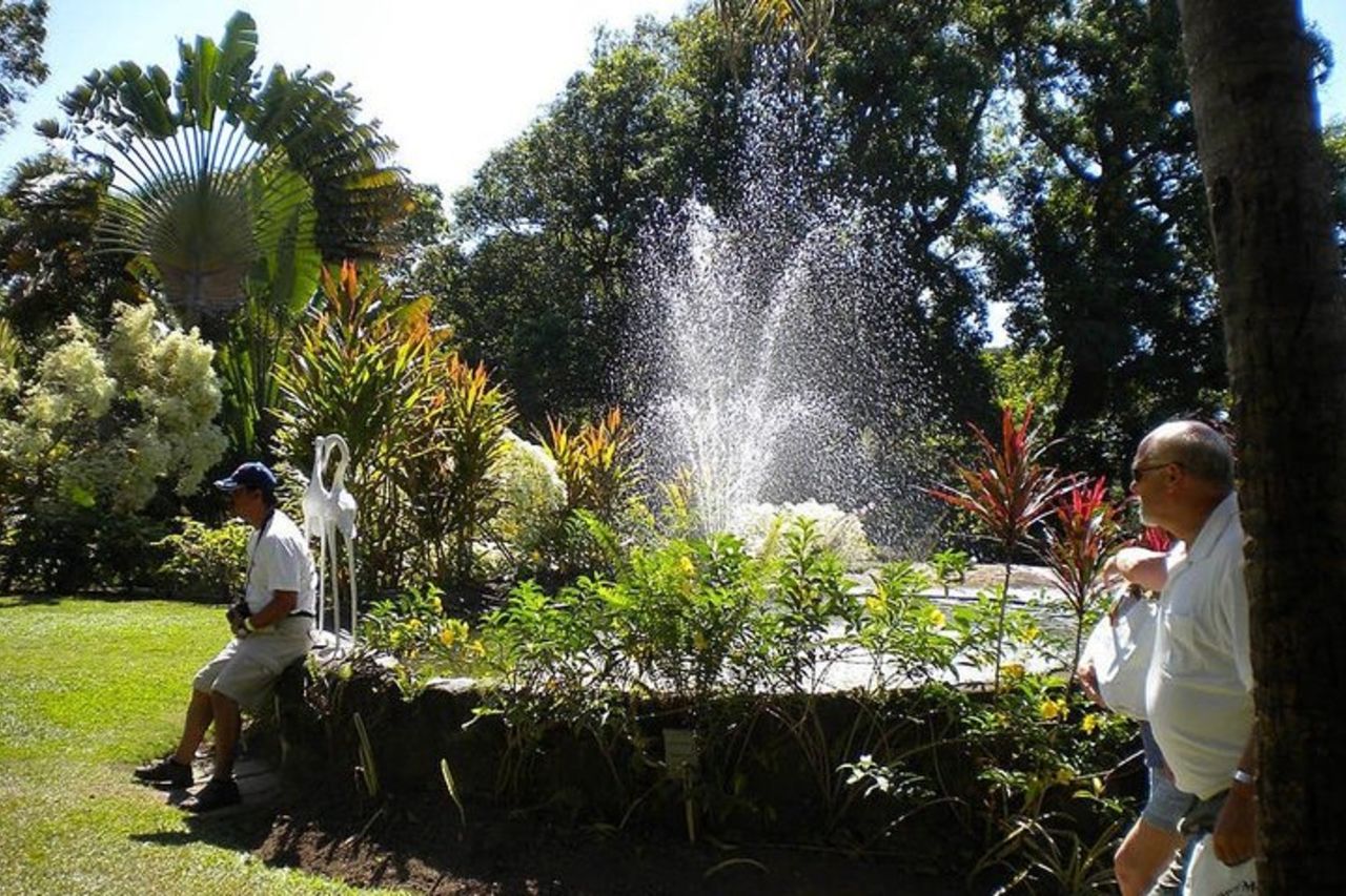 Special Best of St. Kitts/Tour panoramico di Rosevelt — 7