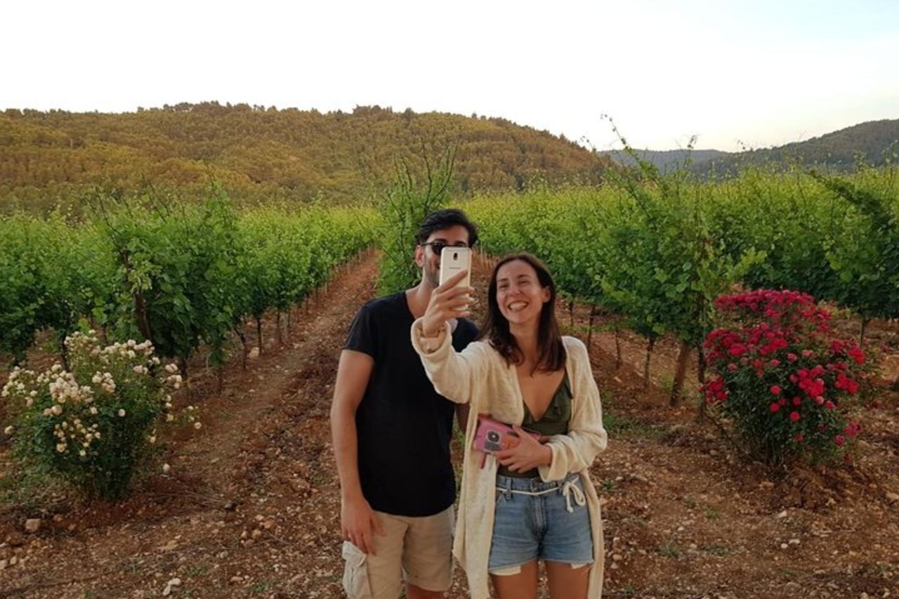 Degustazione di vini a Vieste — 3