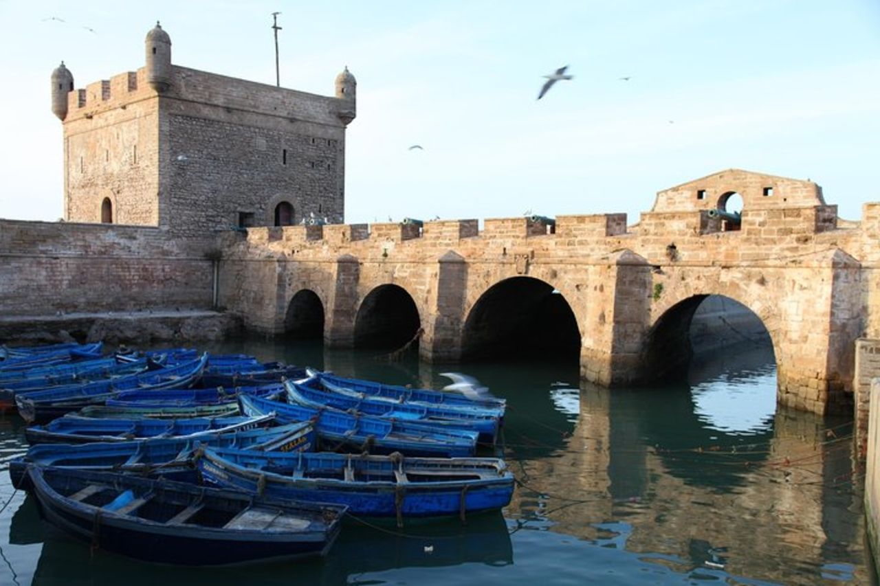 Escursione di un'intera giornata a Essaouira da Marrakech — 8