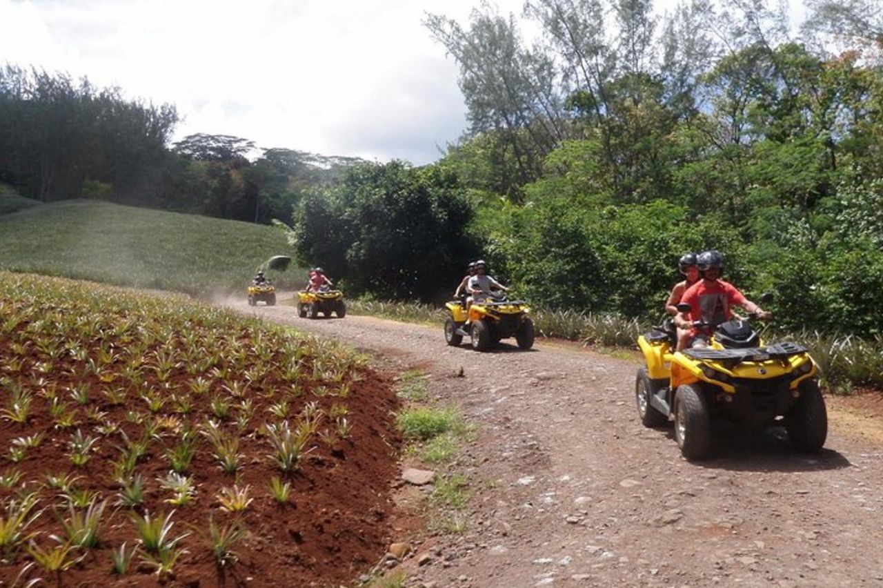 Escursione Grand Tour in Quad a Moorea (monoposto o biposto) — 6