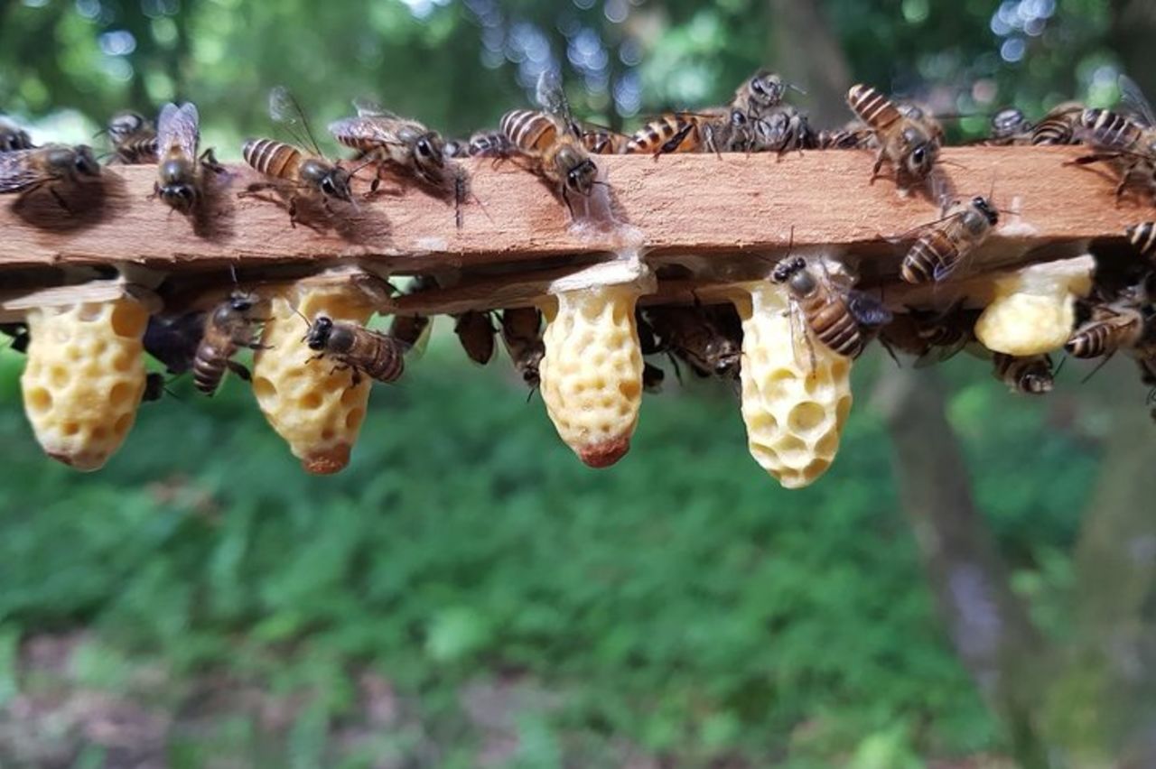 Giro turistico a sud dell'isola di Phu Quoc e relax sulla spiaggia di Sao — 3