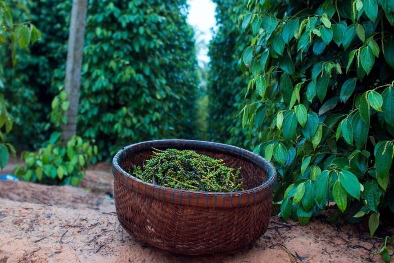 Giro turistico a sud dell'isola di Phu Quoc e relax sulla spiaggia di Sao — 5