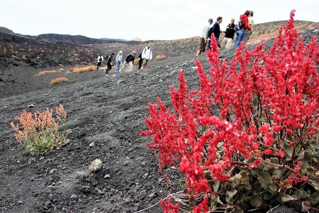 Gita mattutina sull'Etna — 3