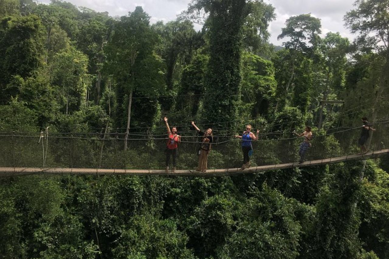 Tour privato di Cape Coast/Elmina Slave Dungeon e Canopy Walkway — 4
