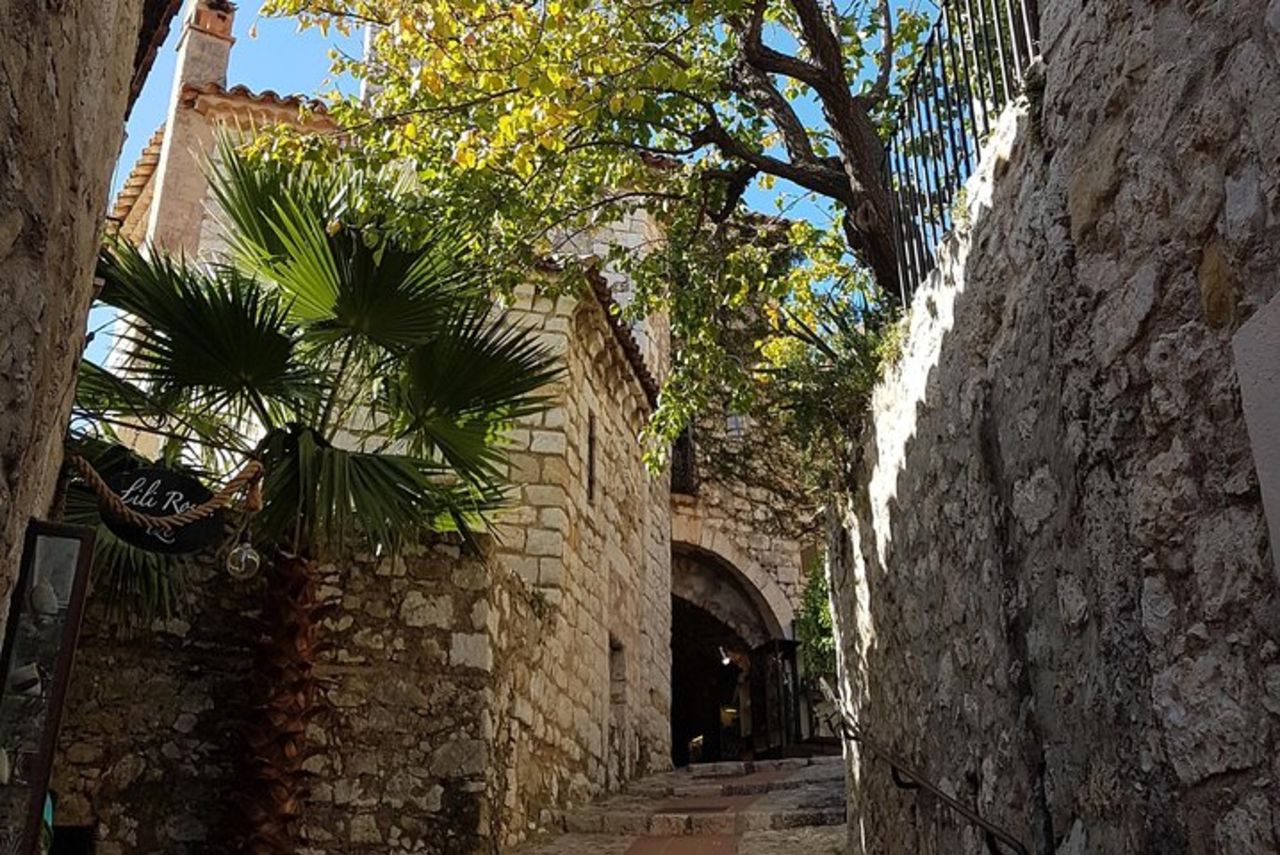 Escursione a terra a MONACO: tour privato Costa Azzurra Highlights — 9