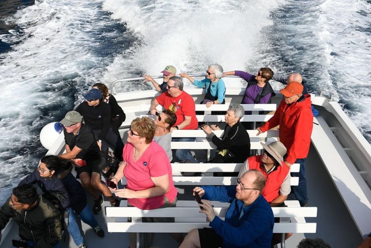 Capri Coast to Coast: tour in barca con Grotta Azzurra opzionale — 9