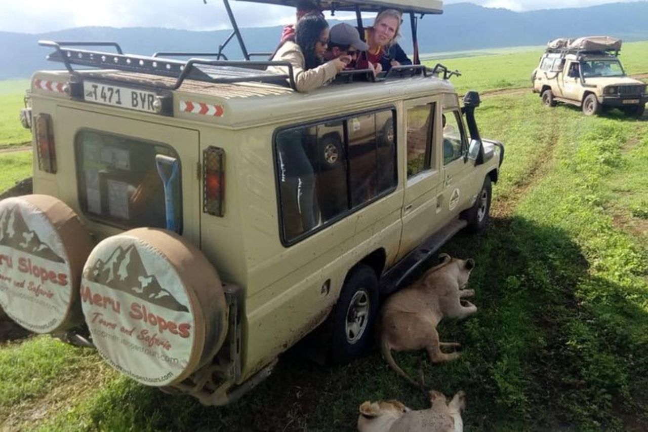 Lago Manyara di 3 giorni, cratere di Ngorogoro, Parco Nazionale del Tarangire — 6