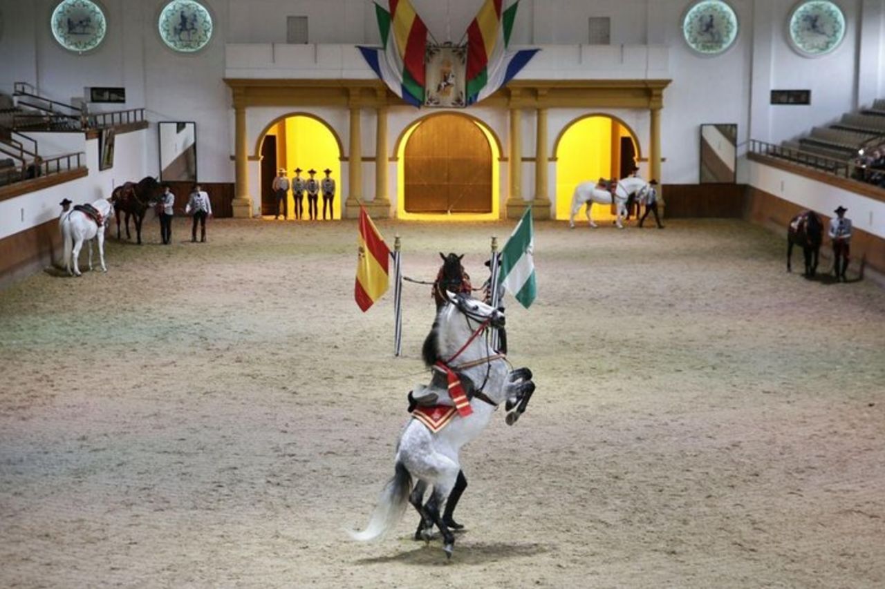 Spettacolo equestre e cantina a Jerez da Siviglia