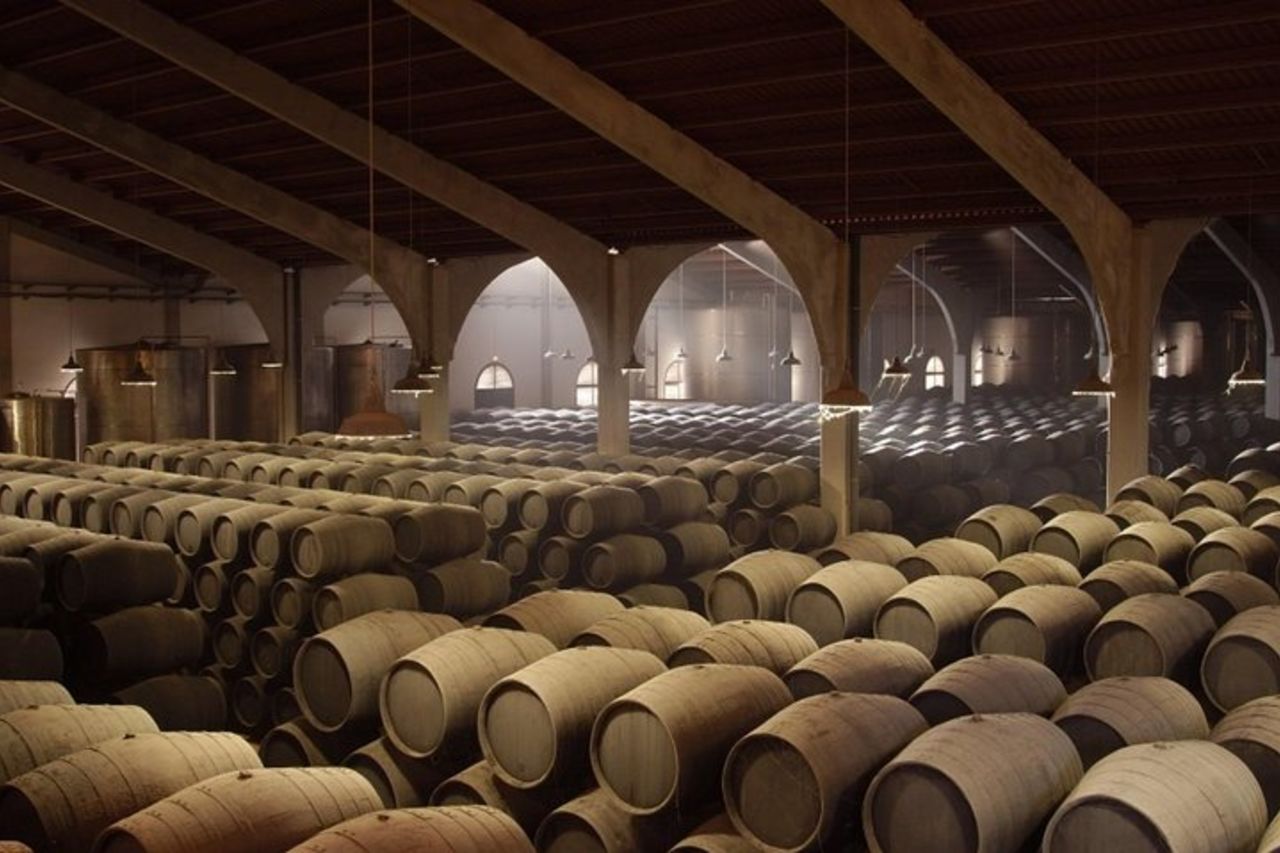 Spettacolo equestre e cantina a Jerez da Siviglia — 5