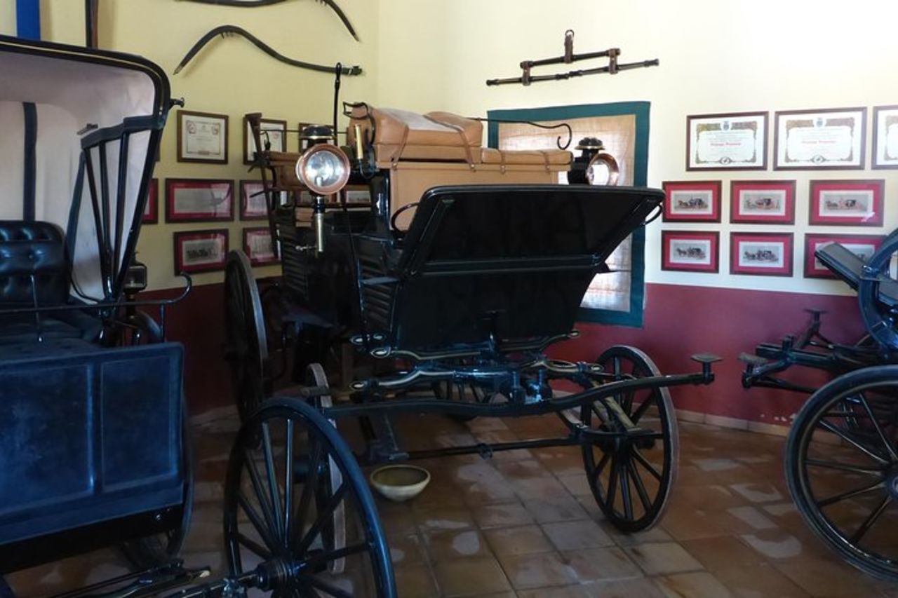 Spettacolo equestre e cantina a Jerez da Siviglia — 7