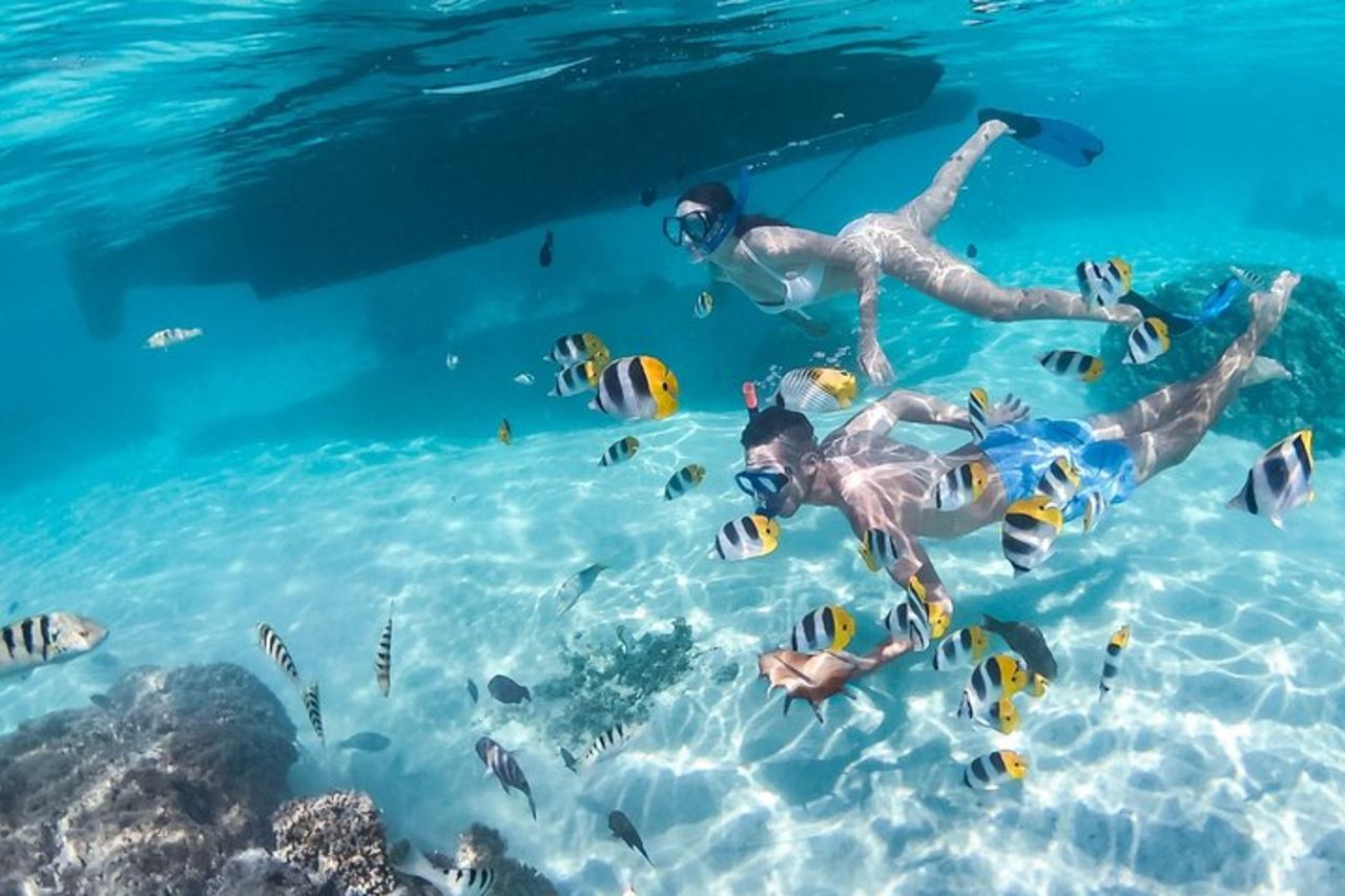 Tour di mezza giornata: Moorea Snorkeling e vela su un catamarano chiamato Taboo — 8