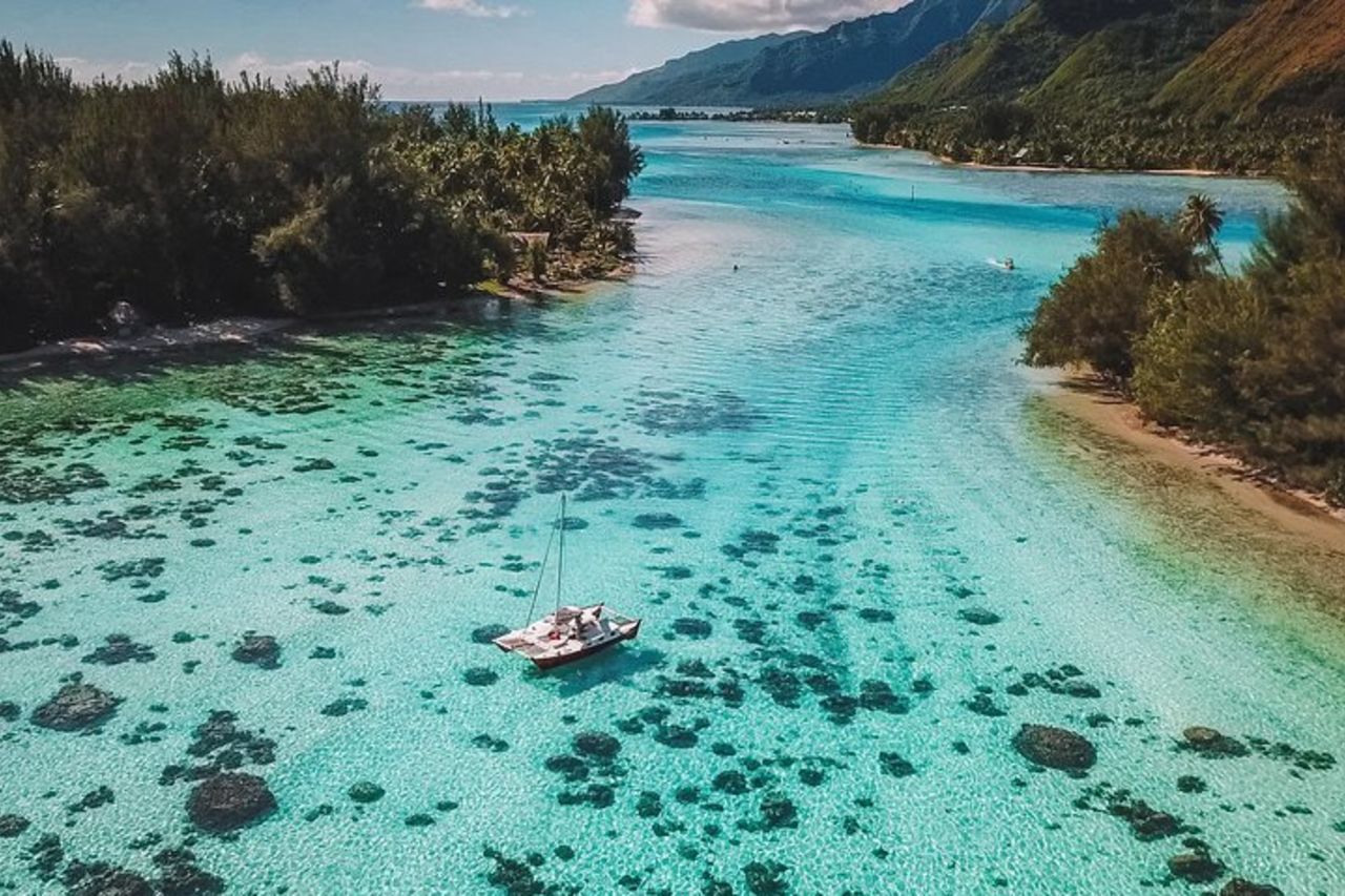 Tour di mezza giornata: Moorea Snorkeling e vela su un catamarano chiamato Taboo — 5