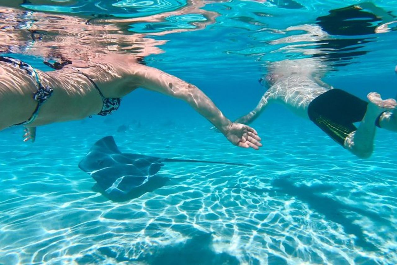 Tour di mezza giornata: Moorea Snorkeling e vela su un catamarano chiamato Taboo — 3