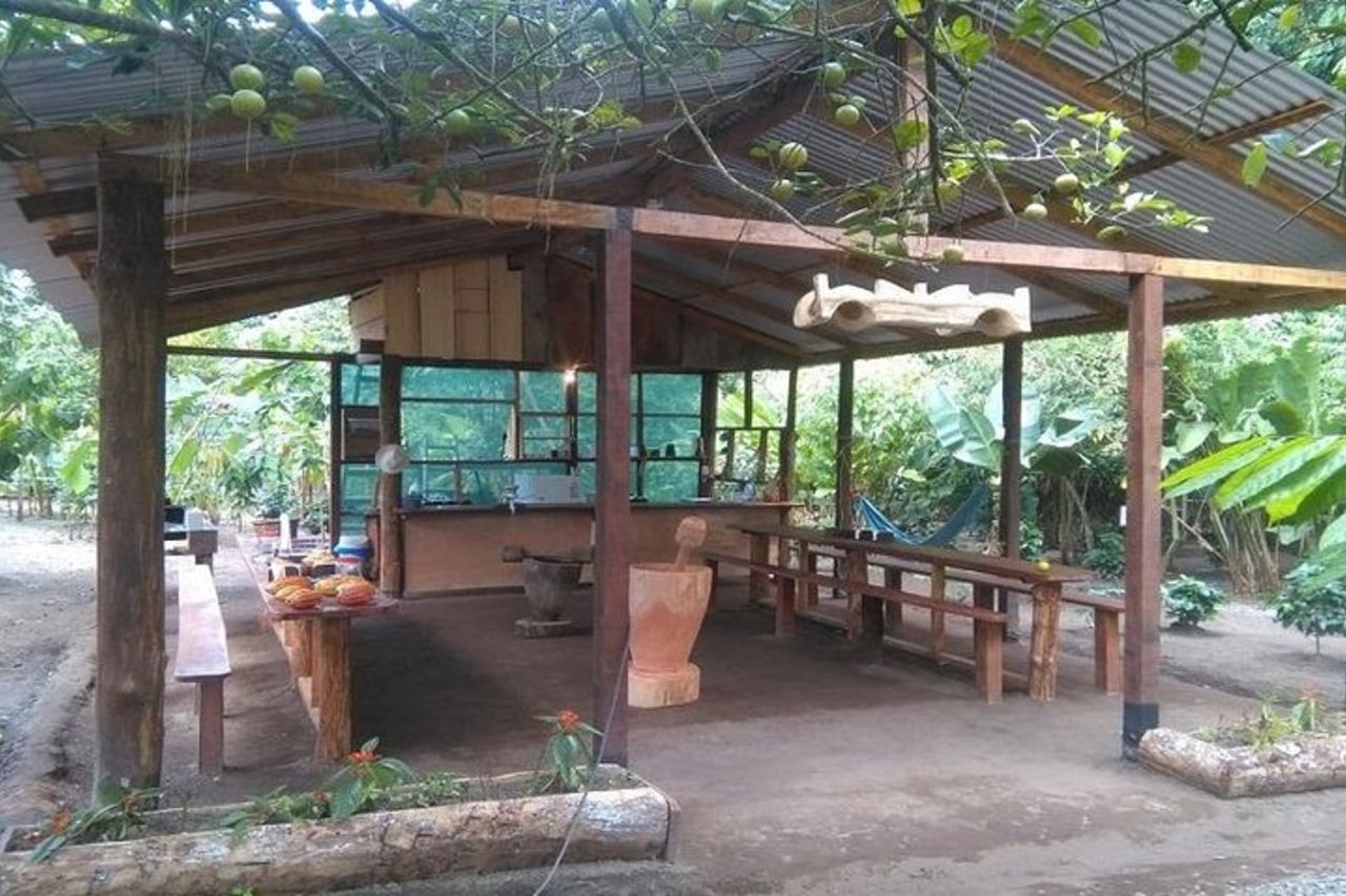 Esperienza di osservazione del bradipo, caffè, cioccolato e canna da zucchero — 8