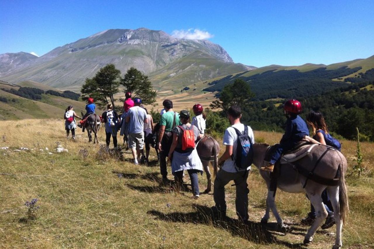 Escursioni con gli asini — 8