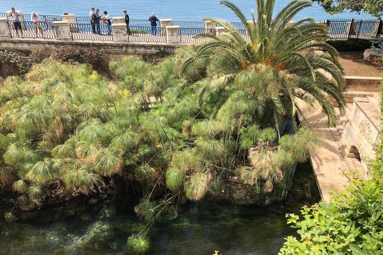 Siracusa e Noto: tour per piccoli gruppi da Taormina — 5