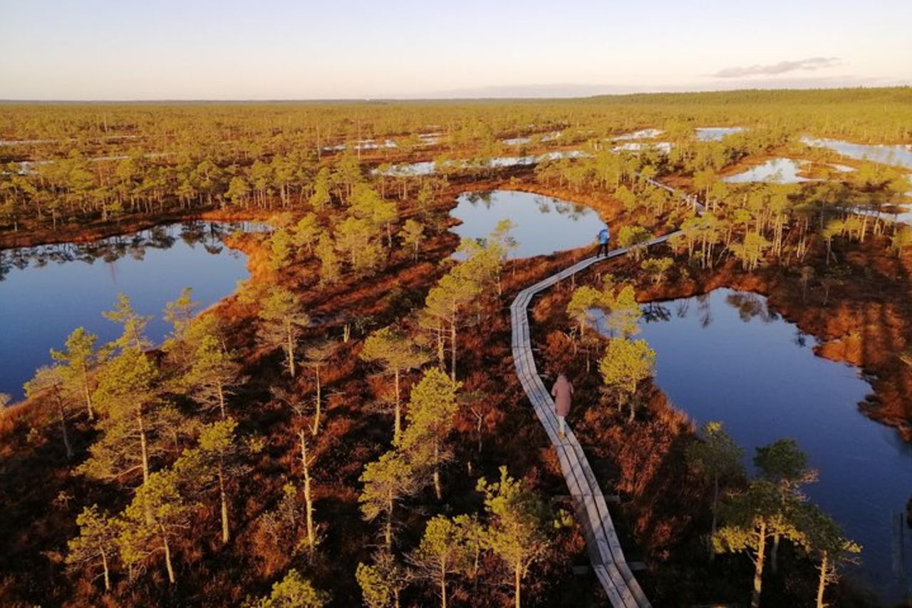 Tramonto al parco nazionale di Kemeri — 8