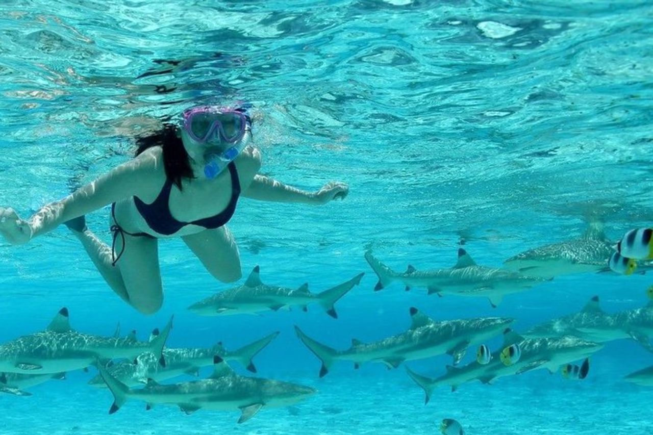 Bora Bora Jet Ski Tour, & Eco Shark / Ray Snorkel Cruise — 7