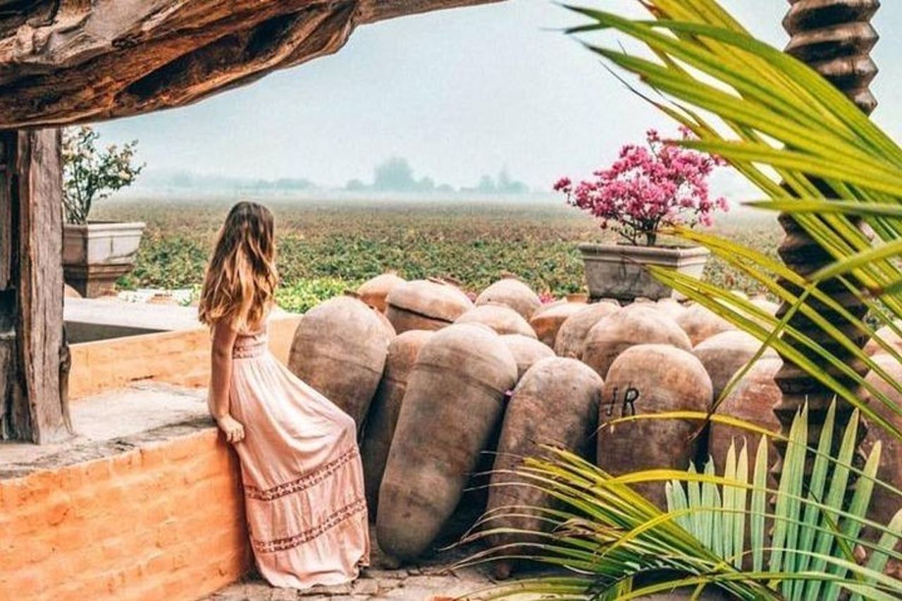 Intera giornata a Paracas Ica e Huacachina da Lima All Inclusive — 9