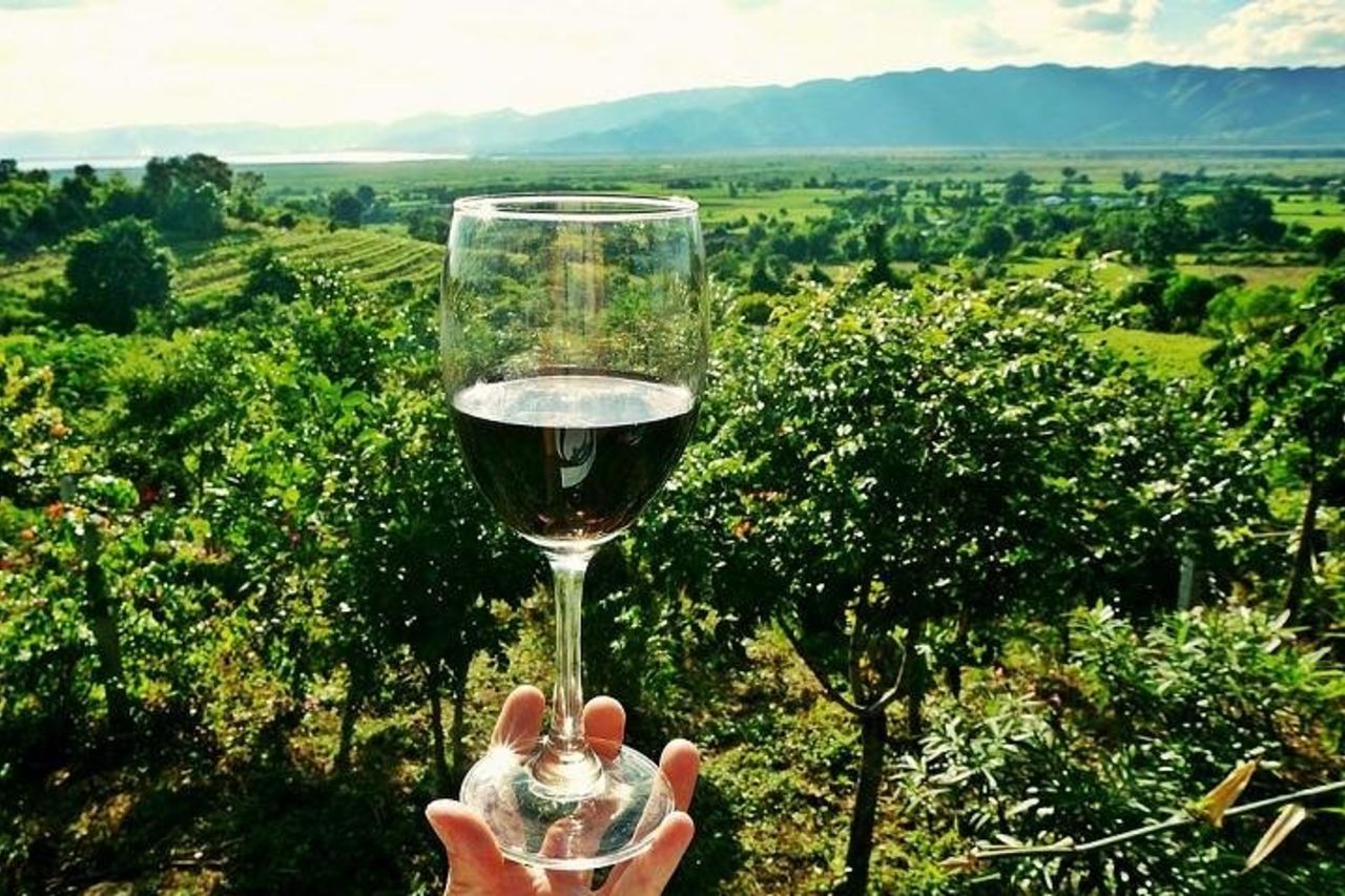 Tour di mezza giornata del vino Chianti e dell'olio d'oliva da Viareggio