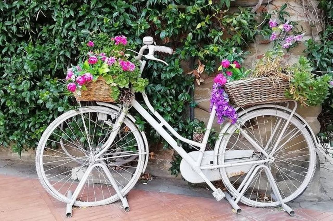 Tour di mezza giornata del vino Chianti e dell'olio d'oliva da Viareggio — 3