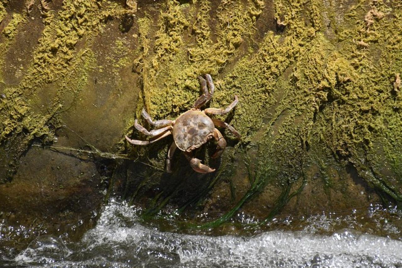 Escursione in gommone Gole di Tiberio sulla Madonie nei pressi di Cefalù — 6