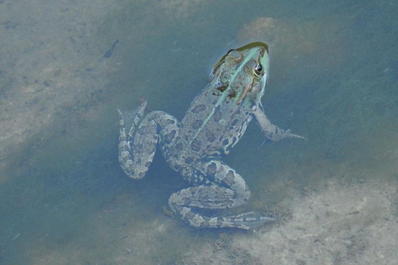 Escursione in gommone Gole di Tiberio sulla Madonie nei pressi di Cefalù — 8