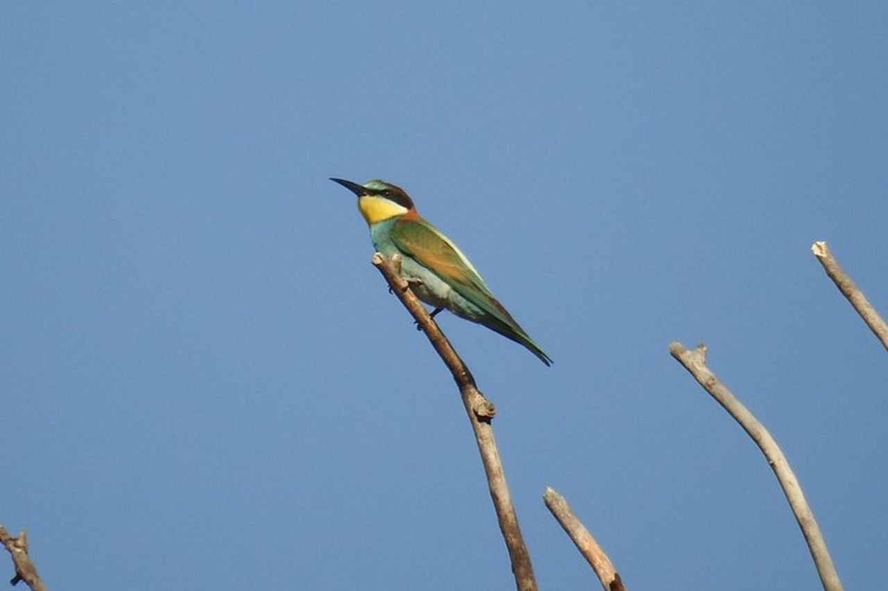 Escursione in gommone Gole di Tiberio sulla Madonie nei pressi di Cefalù — 9