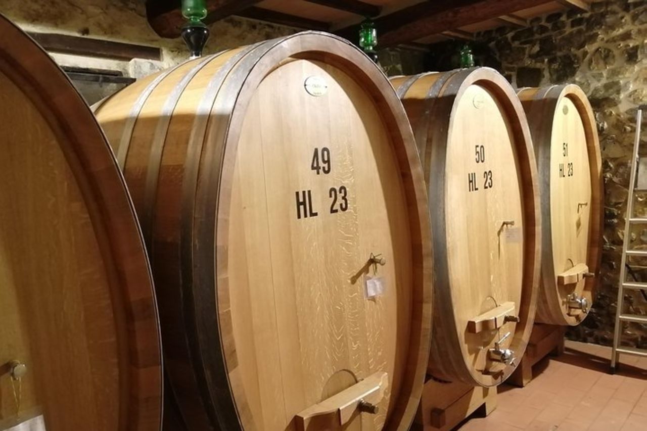 Tour per piccoli gruppi con degustazione del vino Brunello di Montalcino da Siena — 5