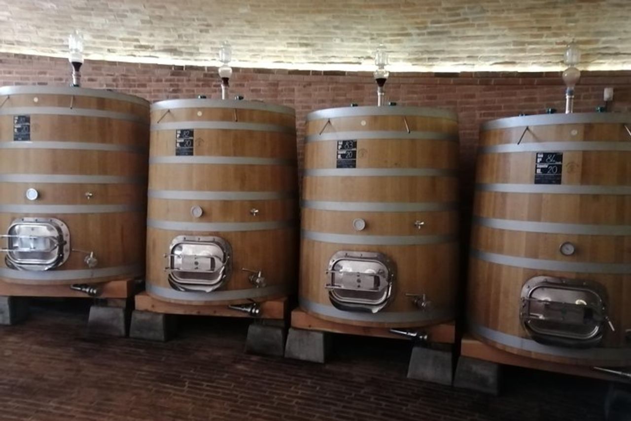Tour per piccoli gruppi con degustazione del vino Brunello di Montalcino da Siena — 6