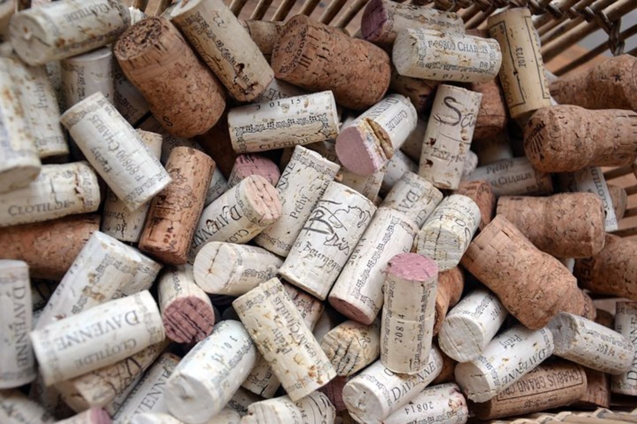 Degustazione di vini e formaggi Clotilde Davenne a Chablis — 6