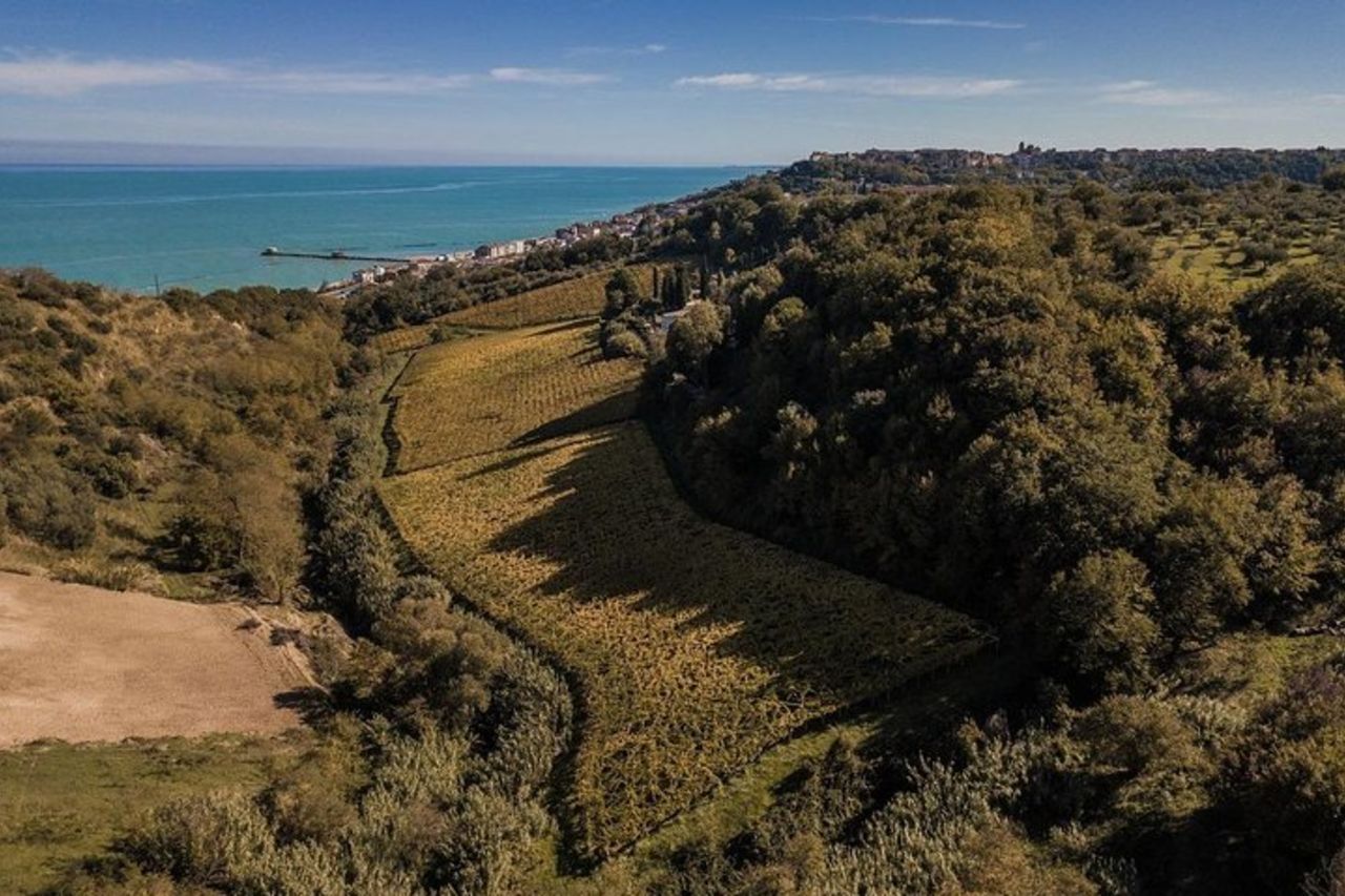 Tour enogastronomico di San Vito Chietino — 8