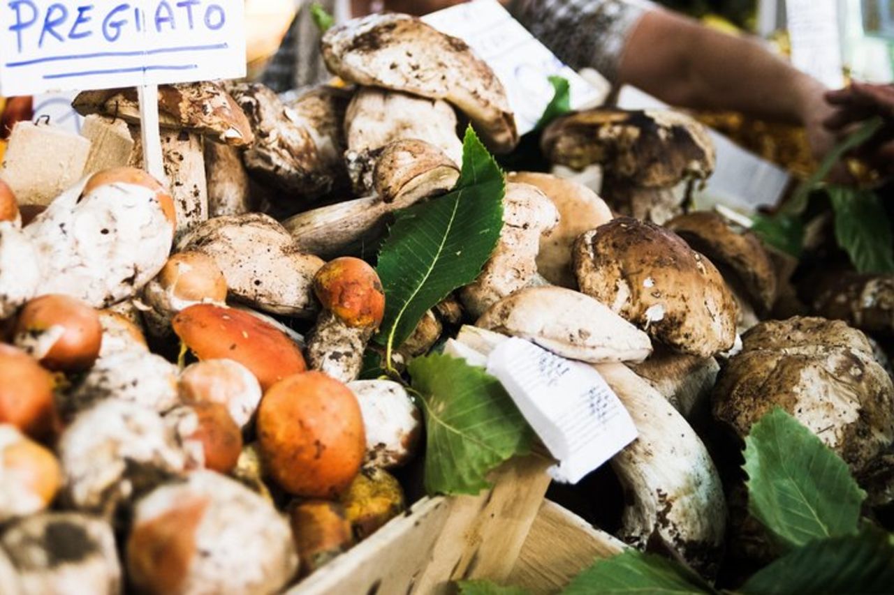 Visita del mercato locale ed esperienza culinaria nella casa di un locale a Chieti — 5