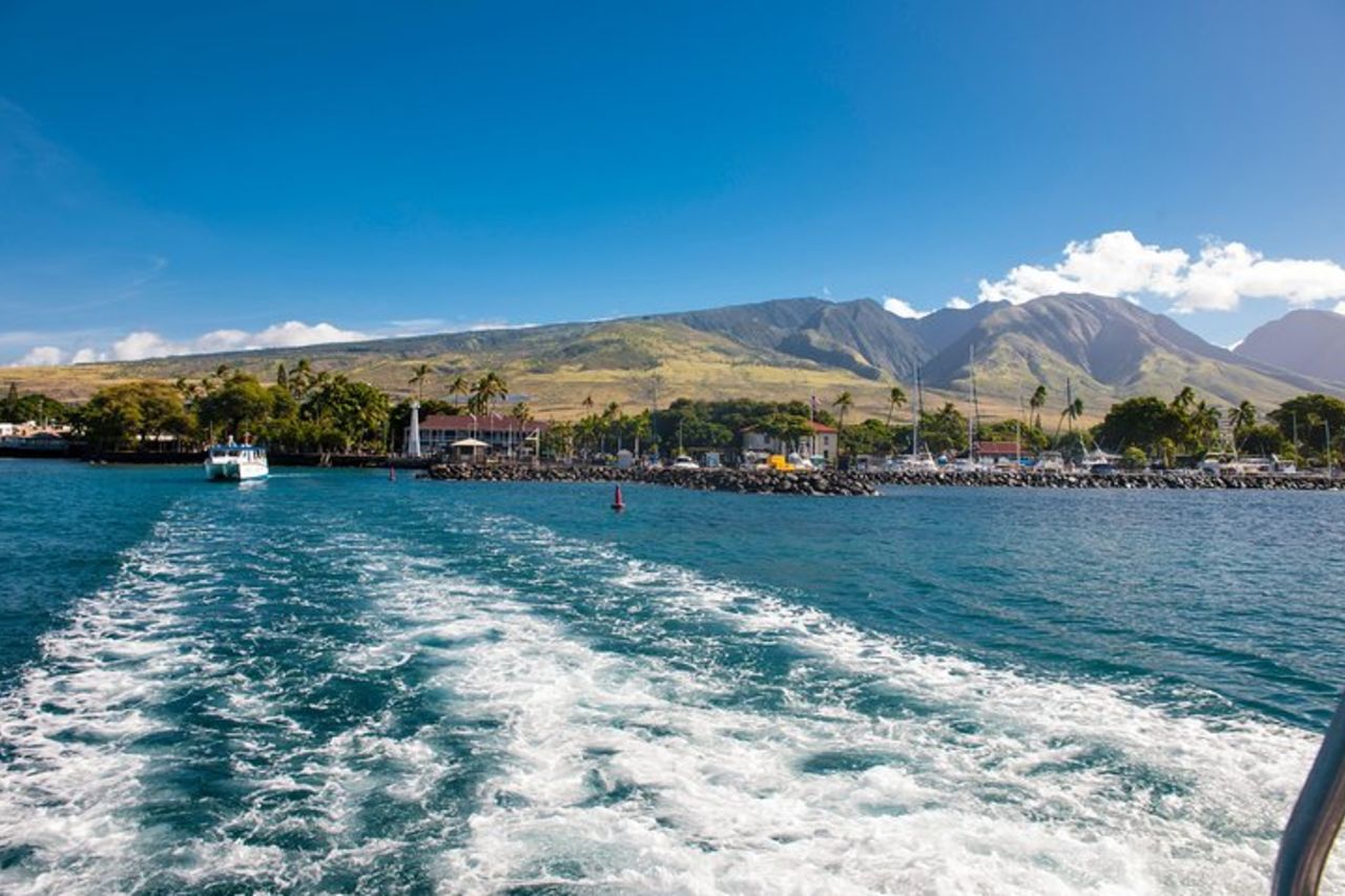 2 - Oahu Whale Watch from Ala Wai Harbor, Parco della struttura — 9