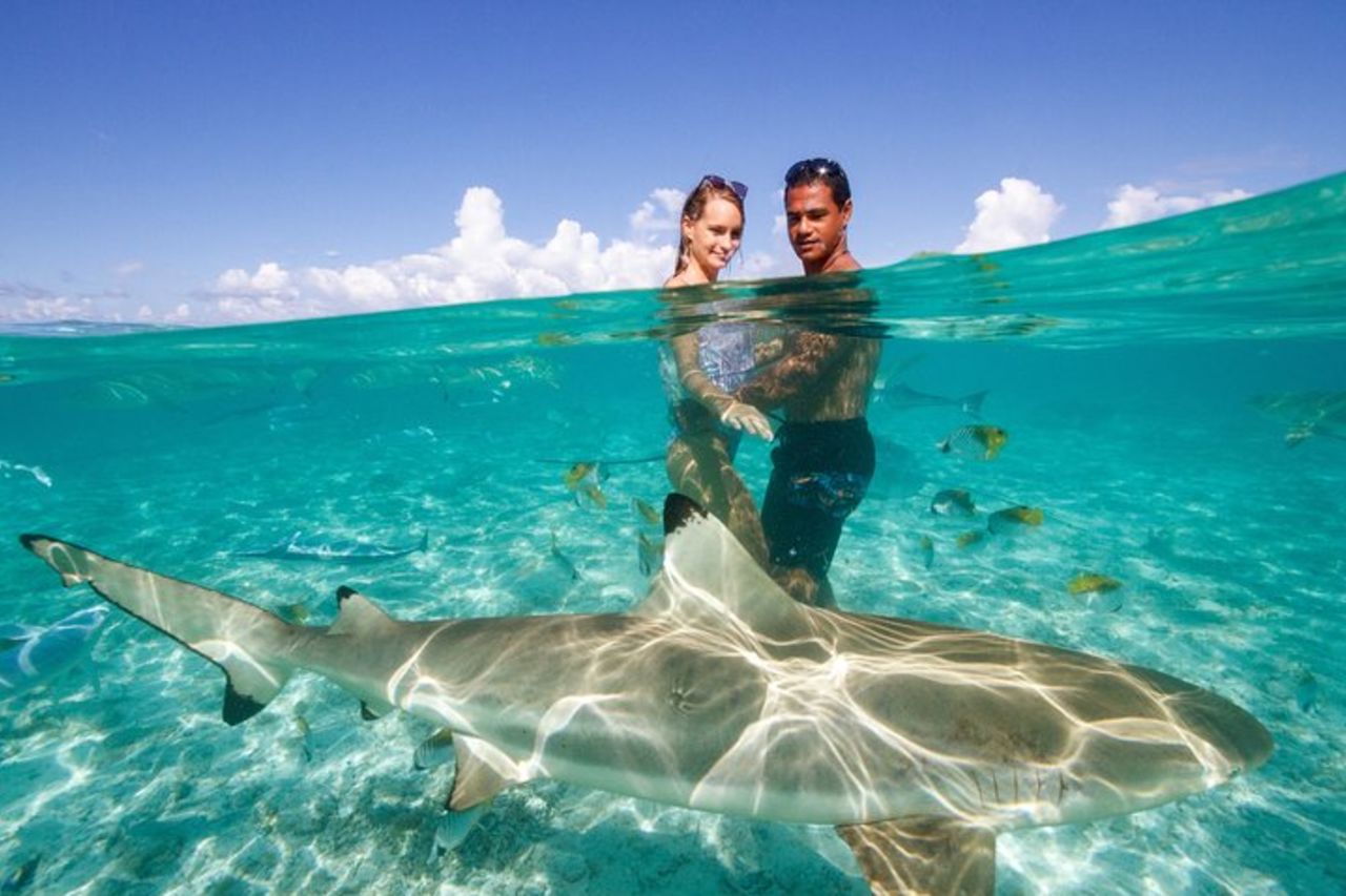 Bora Bora Eco Snorkeling Cruise con snorkeling con squali e razze — 9