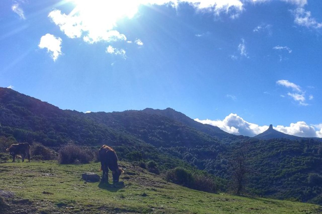 Tour E-bike Sardegna Giurassica — 5