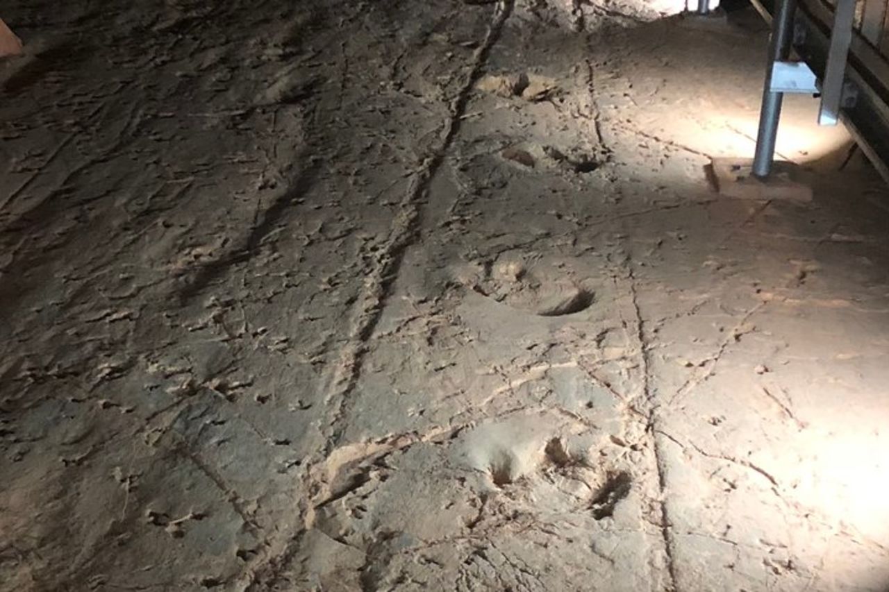 Tour di un giorno di Dinosaur Stampede e Carisbrooke Station da Winton — 3