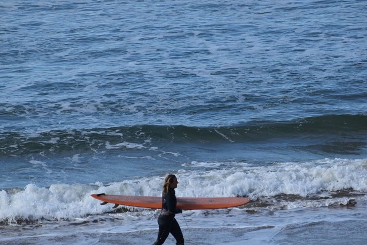 Tour della Great Ocean Road con koala, passeggiata nella foresta e tè mattutino — 6