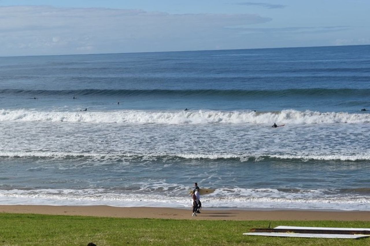 Tour della Great Ocean Road con koala, passeggiata nella foresta e tè mattutino — 7