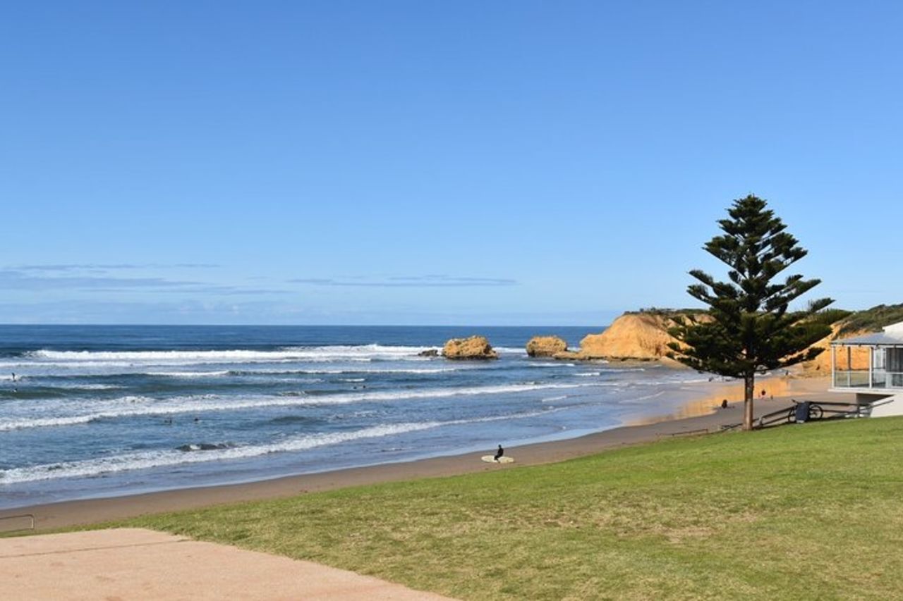 Tour della Great Ocean Road con koala, passeggiata nella foresta e tè mattutino — 9