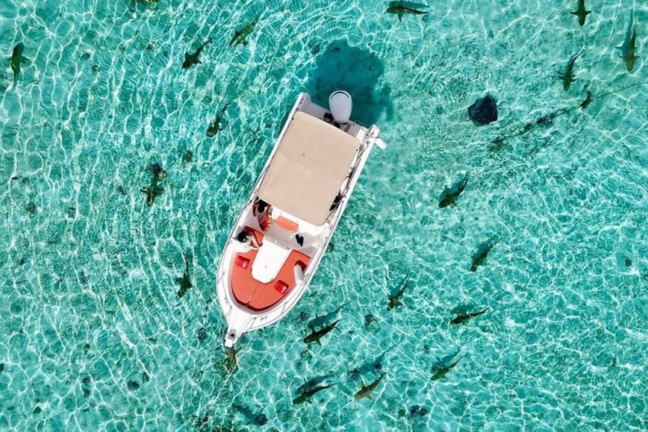 Esperienza privata sulla laguna di Bora Bora — 7