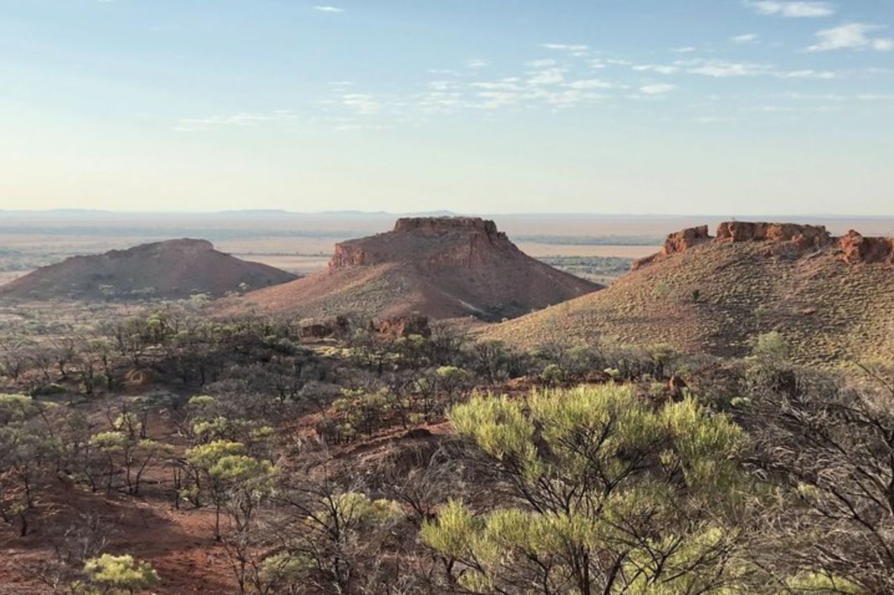 Tour di un giorno di Dinosaur Stampede e Carisbrooke Station da Winton