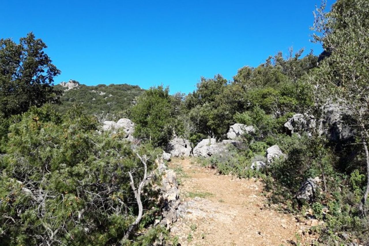 Sentieri dei Tacchi d'Ogliastra — 5