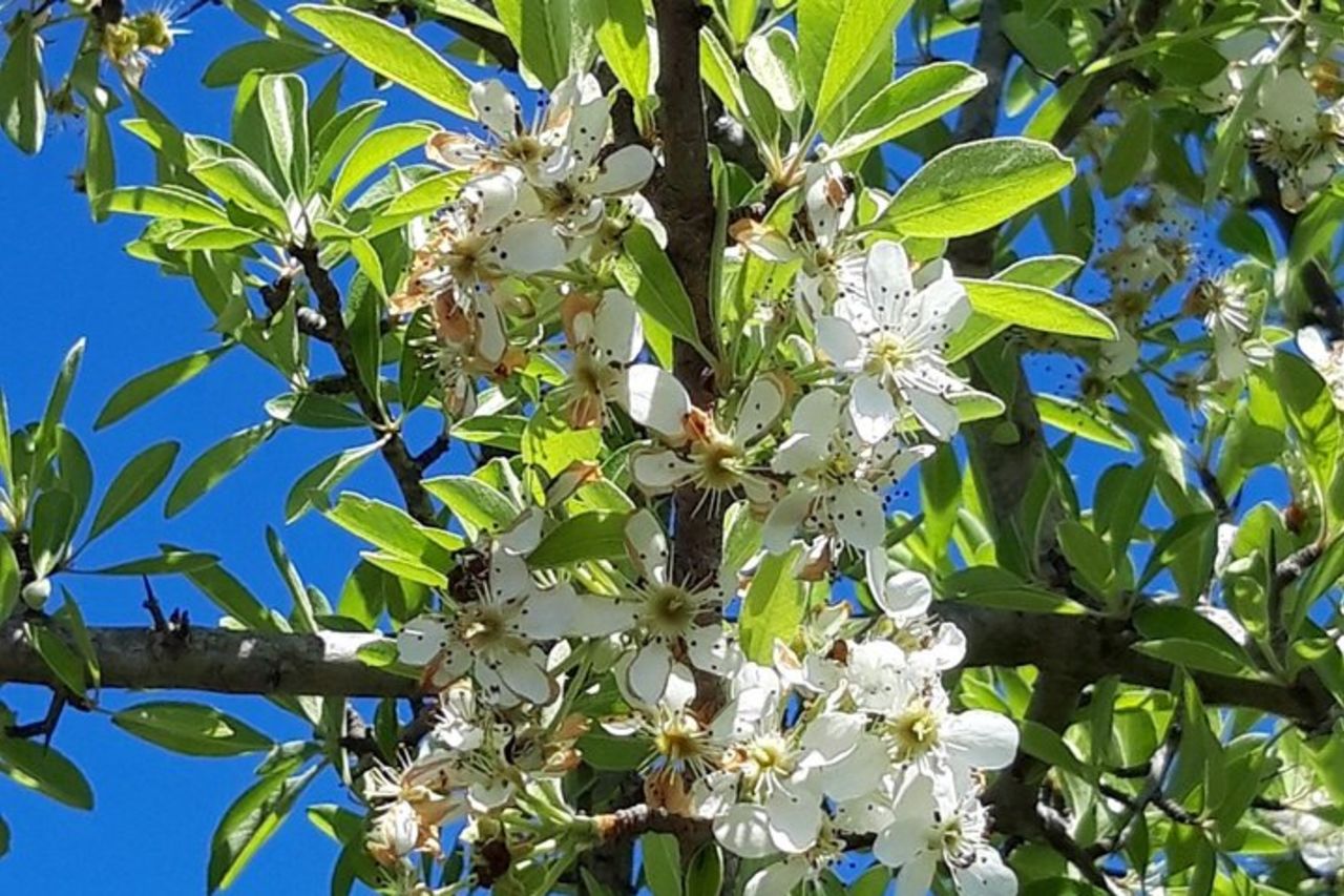 Alla scoperta della Terra dei Centenari e bagno nelle Piscine Naturali — 4