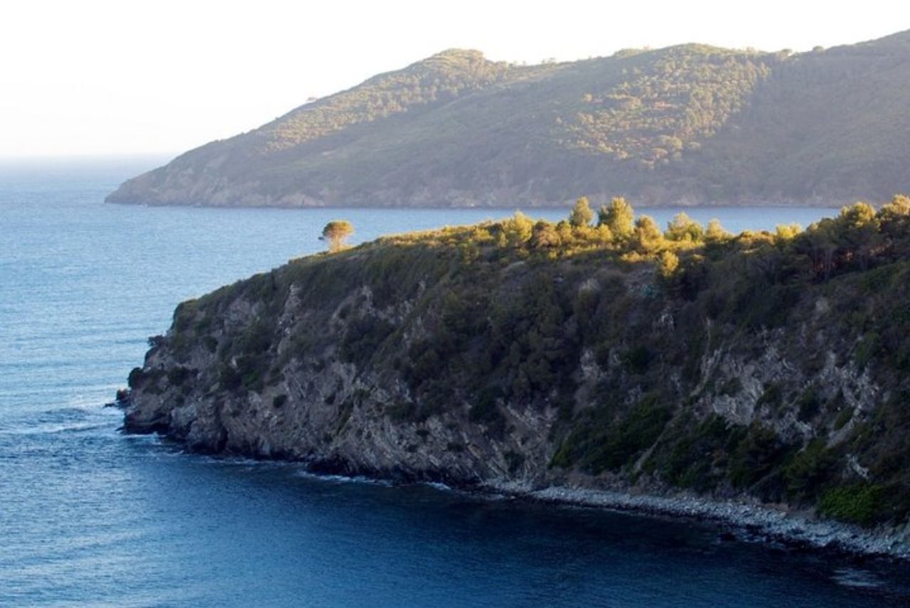 Trasferimento privato dall'aeroporto di Marina di Campo (EBA) a Marina di Campo City — 5