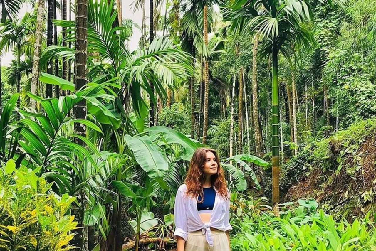 Tour di un'intera giornata nella vecchia Goa Dudhsagar Falls e nella piantagione di spezie — 5