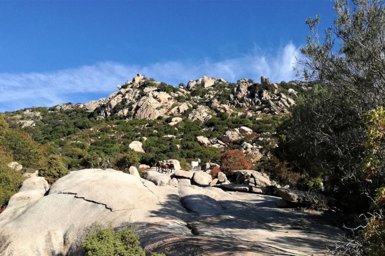 Escursione in 4x4 tra Montagna e Mare — 2