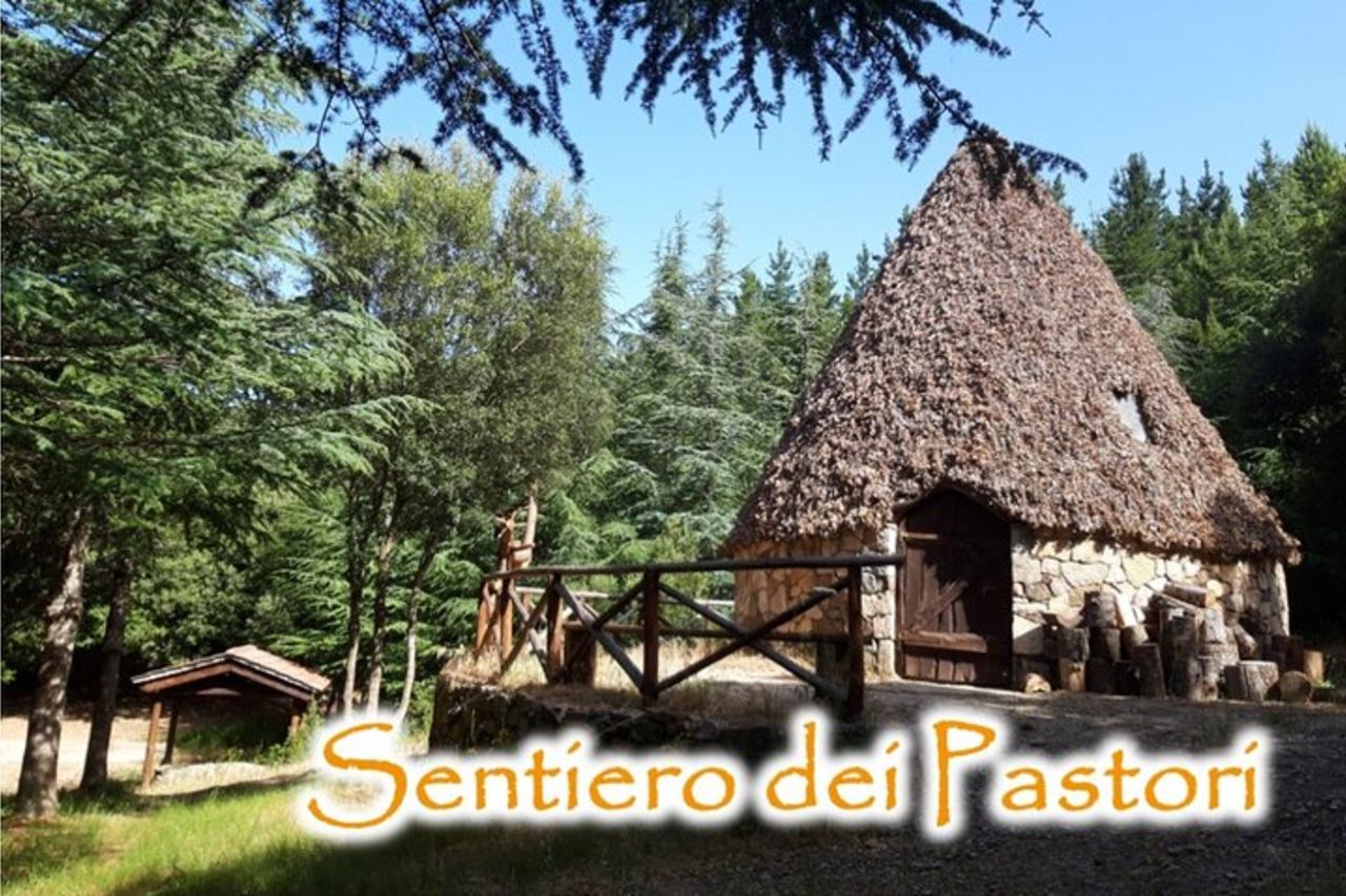 Sentieri dei Pastori tra bosco e sorgenti naturali